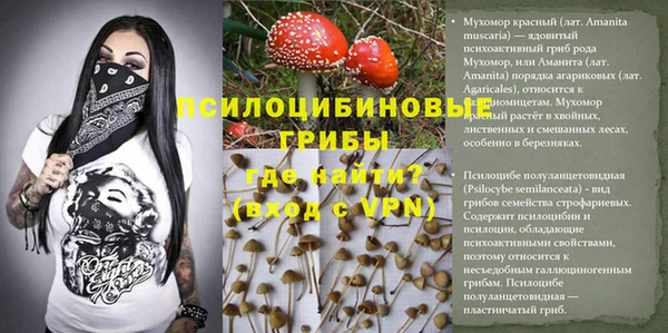 винт Алексеевка