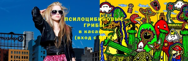 МДПВ Алексин